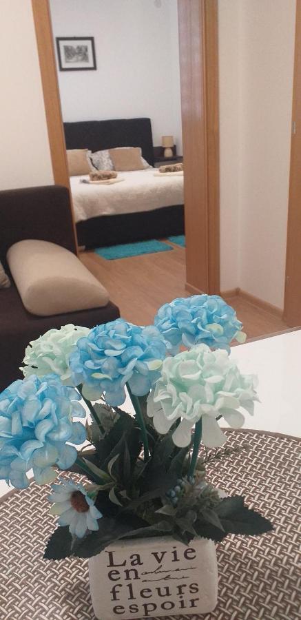 Veliko Gradište Apartman Golubovic מראה חיצוני תמונה